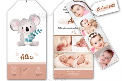 faire-part-naissance-koala-6